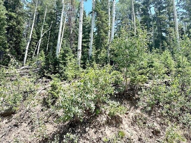 Land for sale in Brian Head, Utah