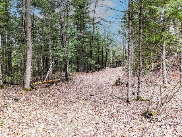 Land for sale in Madison, Maine