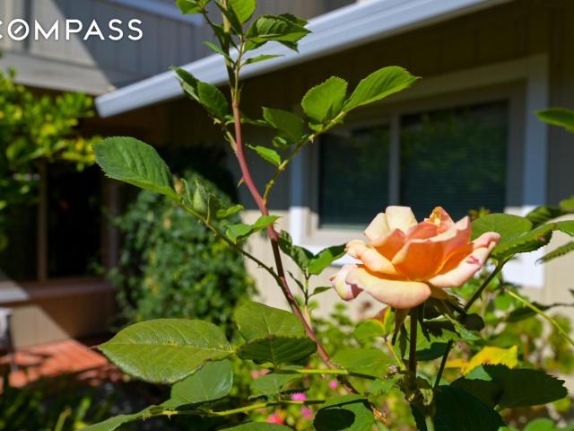 Townhouse for sale in Novato