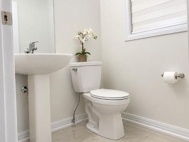 House for rent in Thorold, Golden Horseshoe