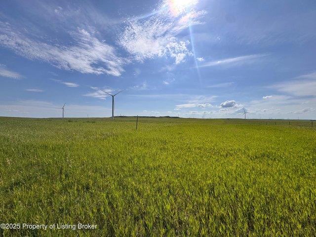 Land for sale in New England, North Dakota