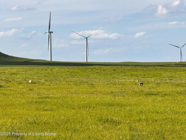 Land for sale in New England, North Dakota