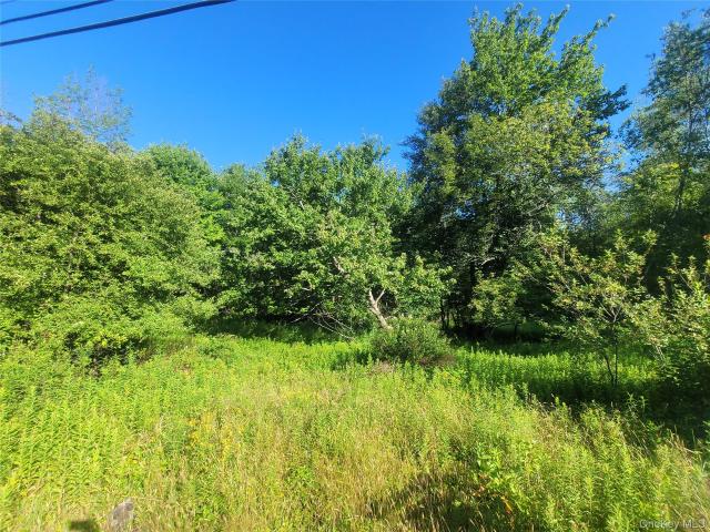 Land for sale in Claryville, New York