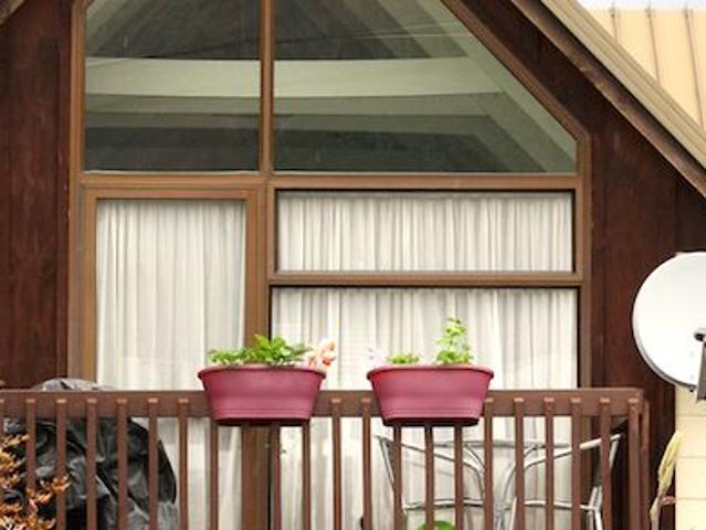 Apartment for rent in Otakou