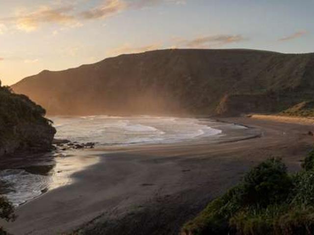 House for sale in Bethells Beach