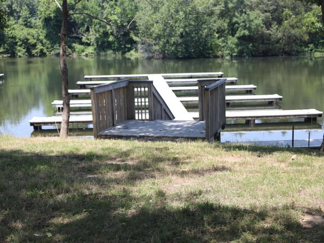 Land for sale in Decatur, East Tennessee