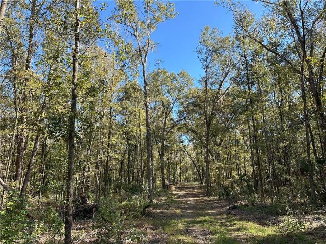 Property for sale in Reddick, Florida