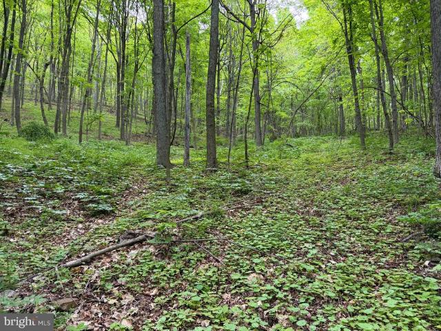 Land for sale in Bedford, Pennsylvania
