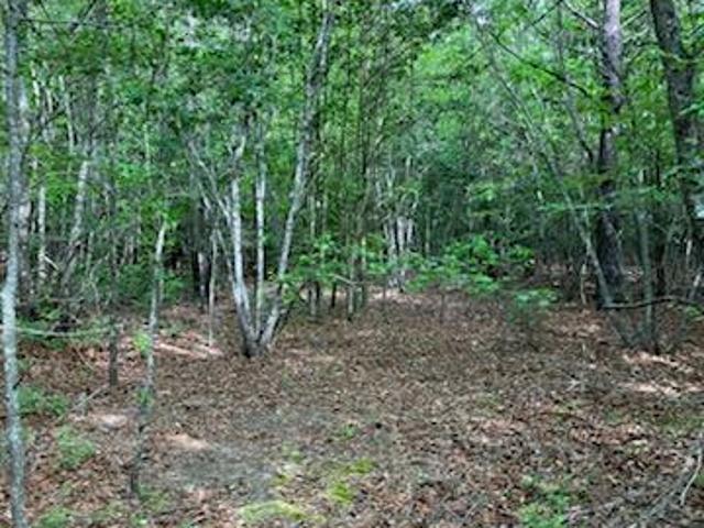Land for sale in Virginia