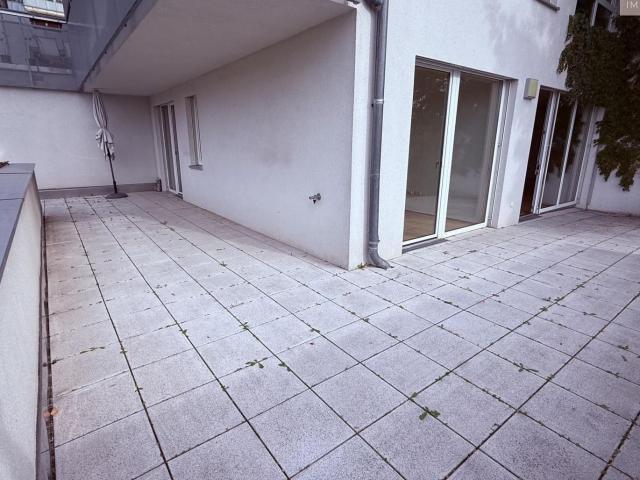 Wohnung mieten in Seestadt, Wien