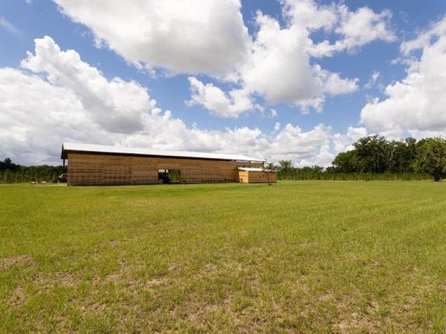 Land for sale in Bell, Florida