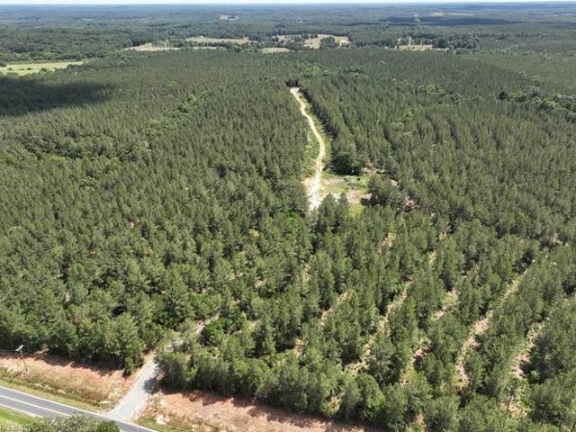 Land for sale in Seagrove, North Carolina