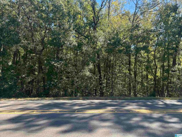 Land for sale in Pleasant Hill, McCalla