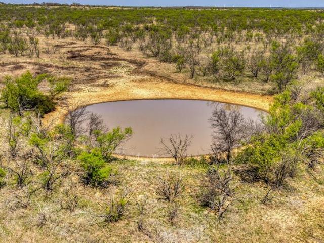 Land for sale in Young County, Texas