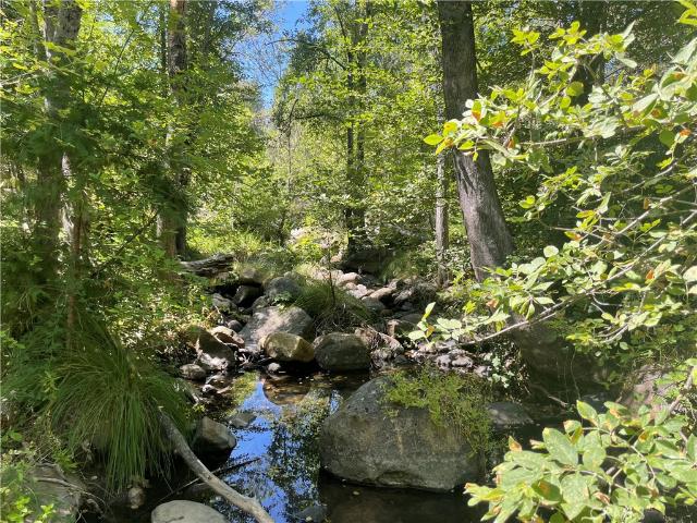 House for sale in Mariposa, California