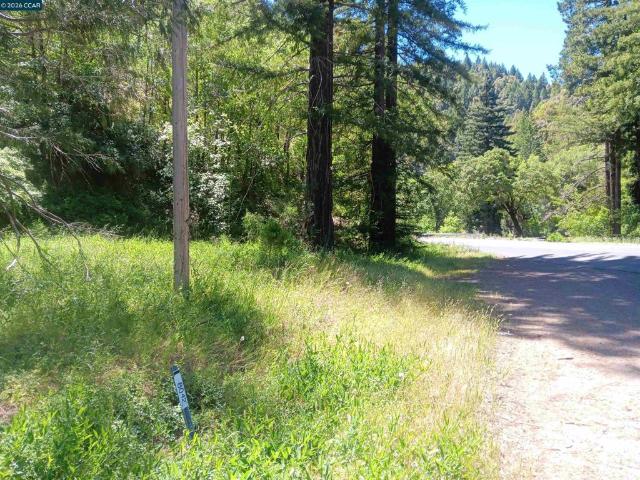 Land for sale in Laytonville, California
