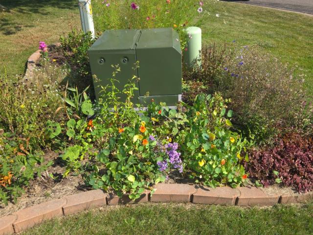 House for sale in Big Lake, Minnesota