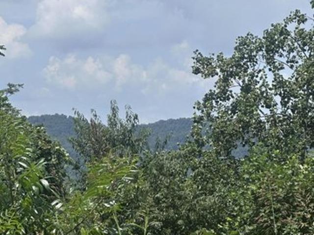 Land for sale in Tennessee