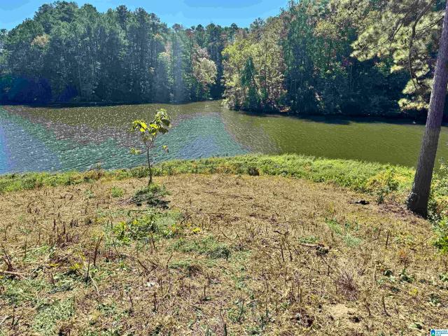 Land for sale in Shelby, Alabama