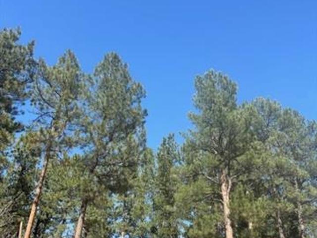 Land for sale in Cripple Creek