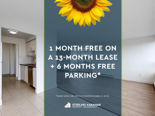 Apartment for rent in Arva, Ontario