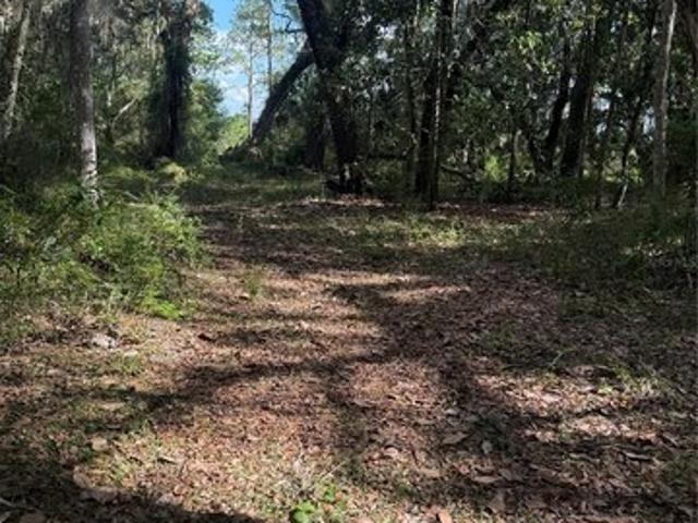 Land for sale in Anthony, Florida