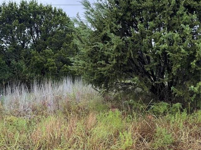 Land for sale in Hood, Texas