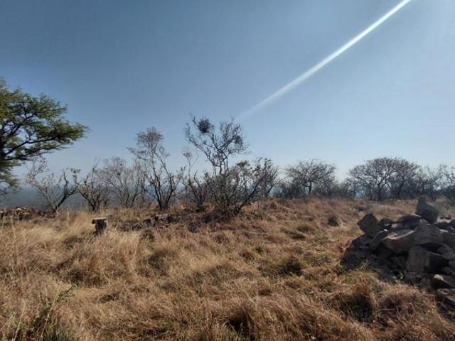 Farm for sale in Limpopo