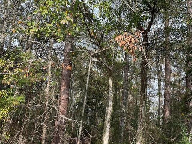 Property for sale in Mandeville, Louisiana