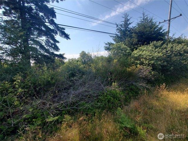 Land for sale in Ocean Shores, Washington