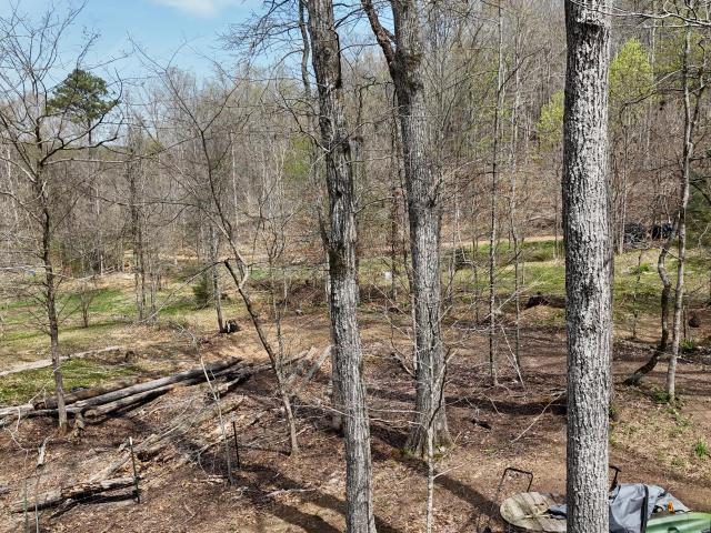 Land for sale in Tennessee