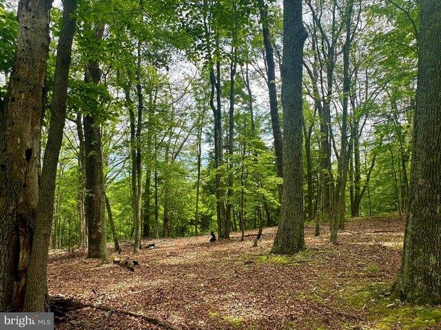 Land for sale in Hardy, West Virginia