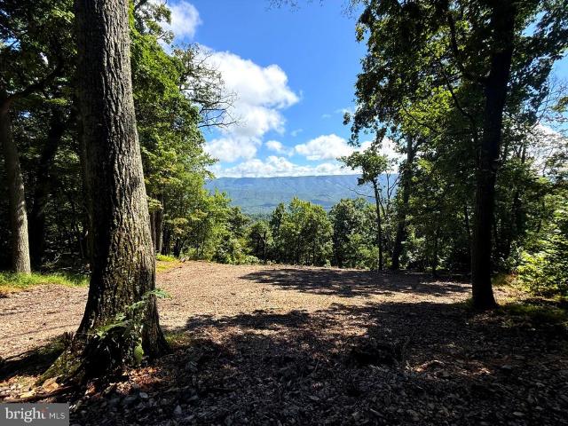 Land for sale in Hardy County, West Virginia