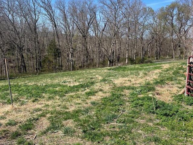 Land for sale in Stone, Missouri