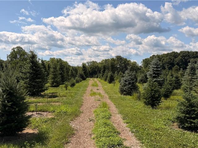 Land for sale in Portage, Ohio