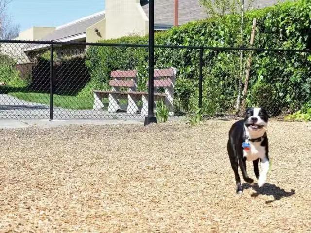 Condo for rent in Santa Rosa