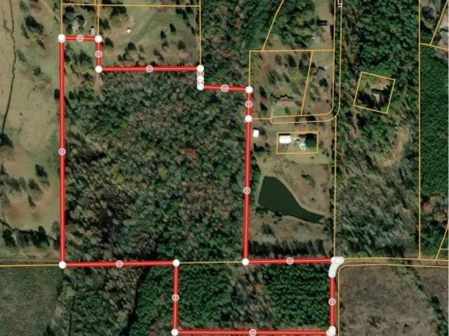 Land for sale in Linden, Cass County