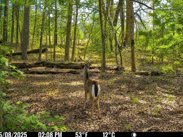 Land for sale in Wood, Texas