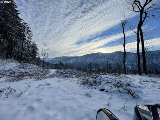 Land for sale in Stevenson, Washington