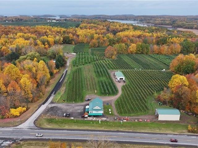 Land for sale in Wolcott, New York