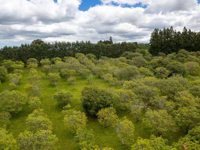 Property for sale in Ohaeawai, Northland