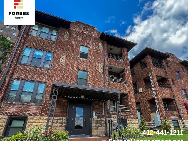 Apartment for rent in Squirrel Hill South, Pittsburgh