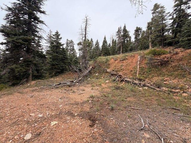Land for sale in Duck Creek Village, Utah