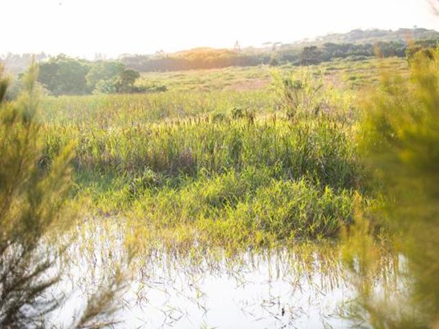 Land for sale in Princess Grant, Kwazulu-natal