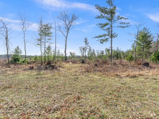 Land for sale in Grantsburg, Wisconsin