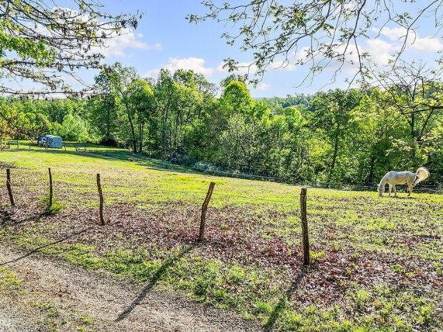 Land for sale in Pineville, Missouri