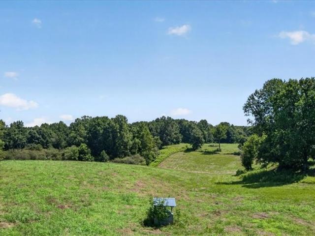 Land for sale in Pickens, Georgia