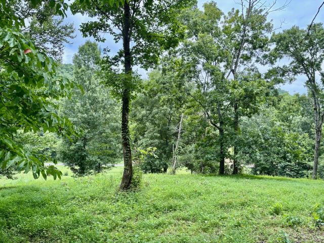Land for sale in Tennessee
