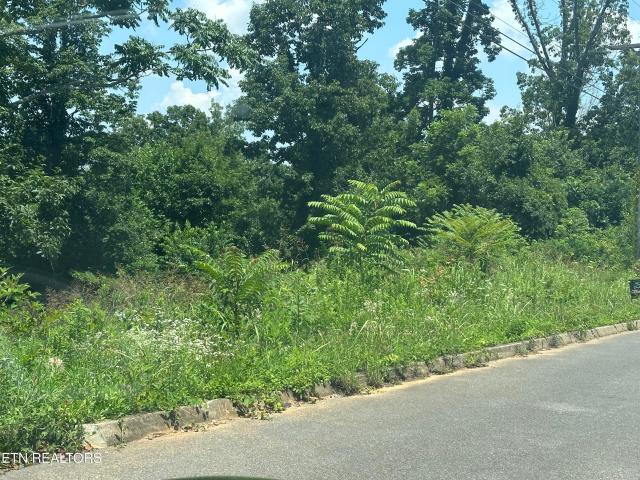 Land for sale in Tennessee