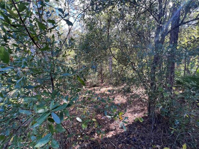 Land for sale in Crystal River, Florida